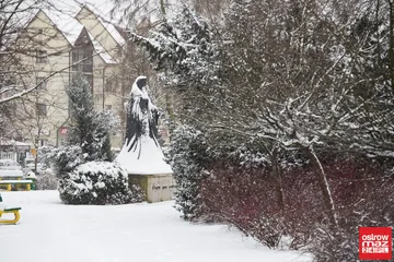 Następne zdjęcie