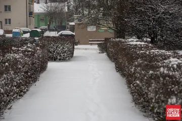 Następne zdjęcie