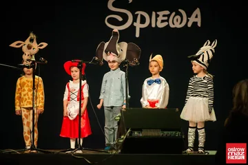 Następne zdjęcie