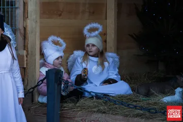 Poprzednie zdjęcie