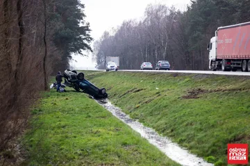 Dachowanie w Gniazdowie (zdjęcia)