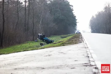Następne zdjęcie