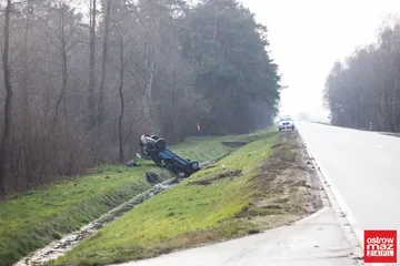 Poprzednie zdjęcie