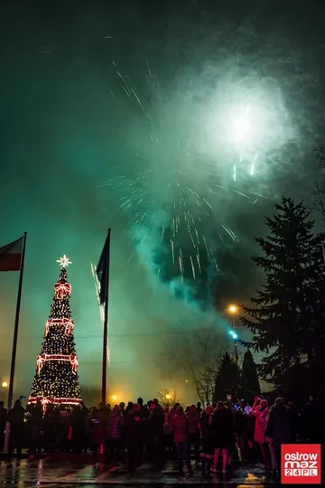 Następne zdjęcie