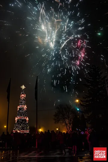 Następne zdjęcie