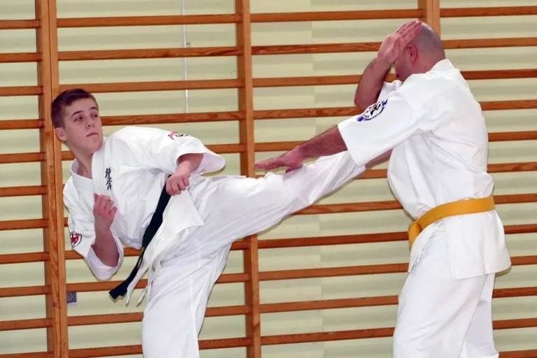 Holenderscy karatecy gośćmi KKK Ronin (zdjęcia)