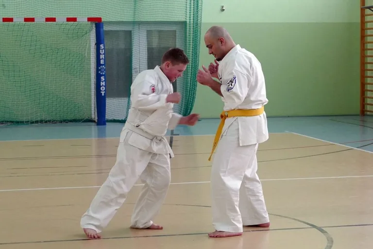 Holenderscy karatecy gośćmi KKK Ronin (zdjęcia)