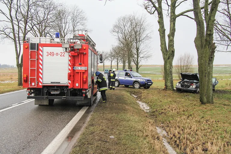 26-latek z powiatu ostrowskiego zakończył jazdę na drzewie (zdjęcia)