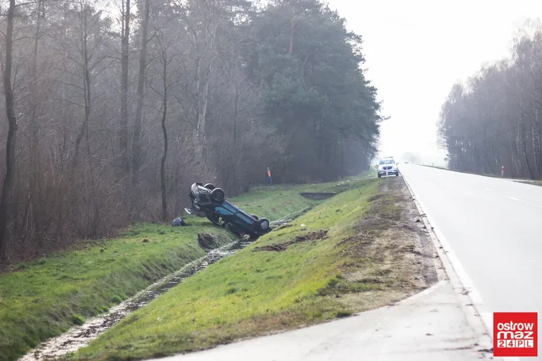 Dachowanie w Gniazdowie (zdjęcia)