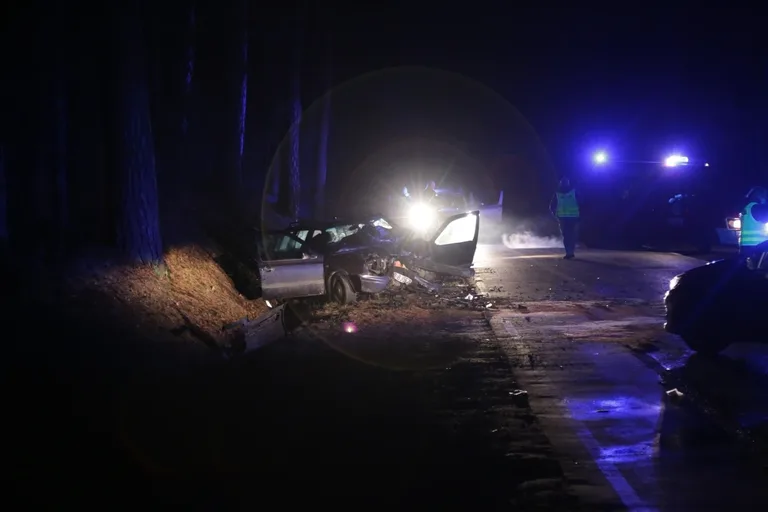 Wypadek w Niegowcu - 9 osób rannych (aktualizacja, zdjęcia)