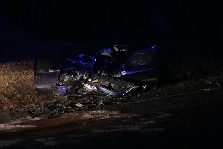 Wypadek w Niegowcu - 9 osób rannych (aktualizacja, zdjęcia)
