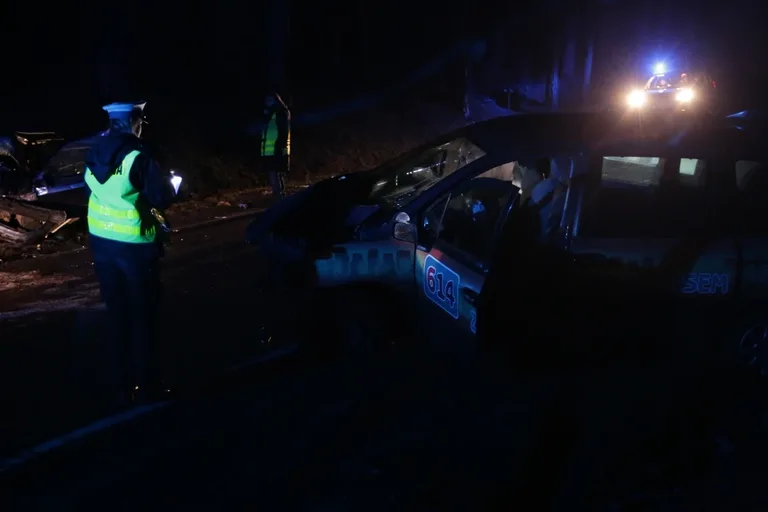 Wypadek w Niegowcu - 9 osób rannych (aktualizacja, zdjęcia)