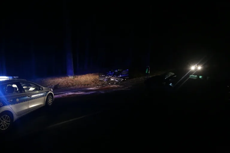 Wypadek w Niegowcu - 9 osób rannych (aktualizacja, zdjęcia)