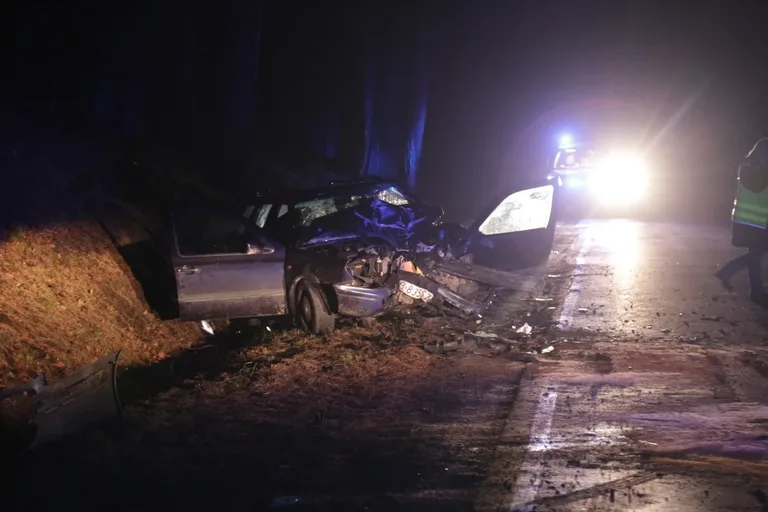 Wypadek w Niegowcu - 9 osób rannych (aktualizacja, zdjęcia)