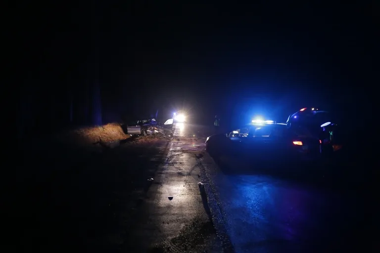 Wypadek w Niegowcu - 9 osób rannych (aktualizacja, zdjęcia)