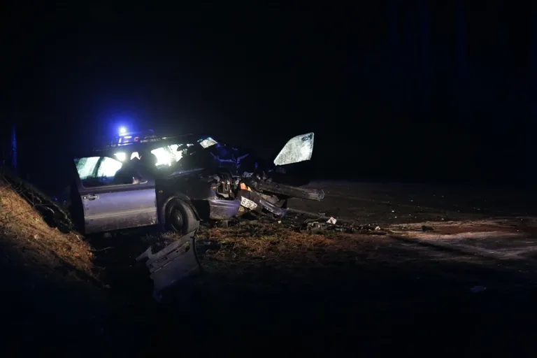 Wypadek w Niegowcu - 9 osób rannych (aktualizacja, zdjęcia)