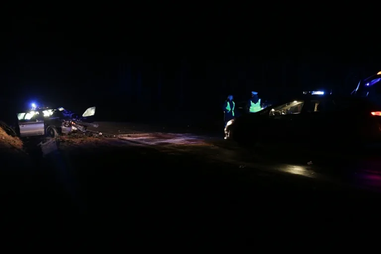 Wypadek w Niegowcu - 9 osób rannych (aktualizacja, zdjęcia)