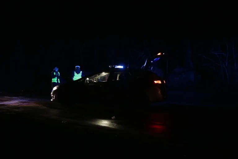 Wypadek w Niegowcu - 9 osób rannych (aktualizacja, zdjęcia)