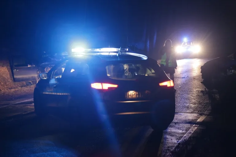 Wypadek w Niegowcu - 9 osób rannych (aktualizacja, zdjęcia)