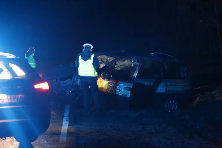 Wypadek w Niegowcu - 9 osób rannych (aktualizacja, zdjęcia)