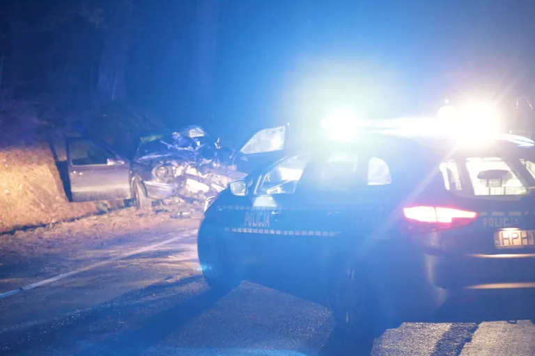 Wypadek w Niegowcu - 9 osób rannych (aktualizacja, zdjęcia)