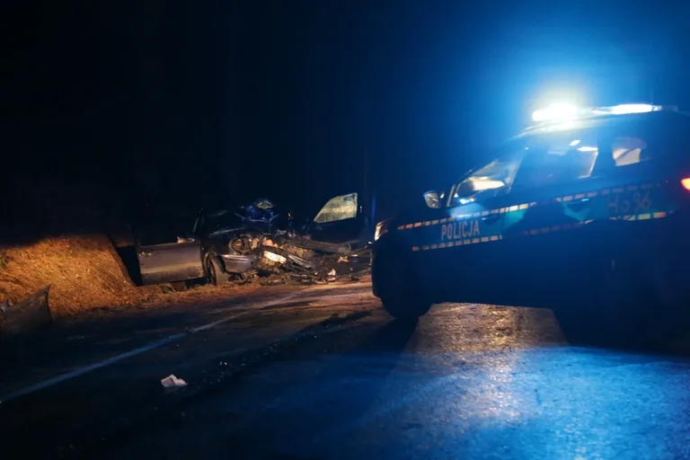 Wypadek w Niegowcu - 9 osób rannych (aktualizacja, zdjęcia)