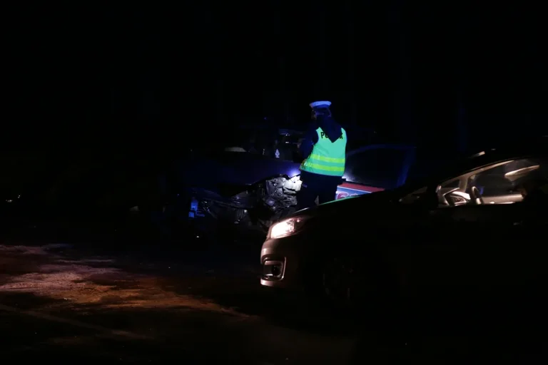Wypadek w Niegowcu - 9 osób rannych (aktualizacja, zdjęcia)