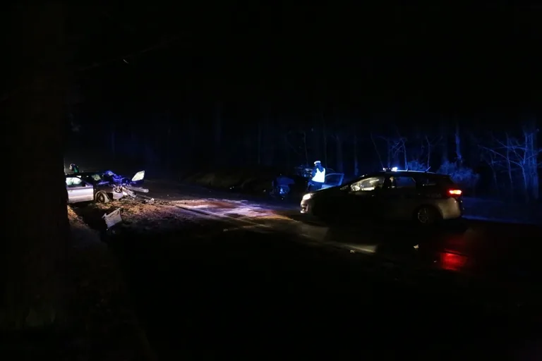 Wypadek w Niegowcu - 9 osób rannych (aktualizacja, zdjęcia)