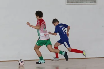 Następne zdjęcie