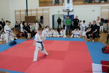 Poprzednie zdjęcie