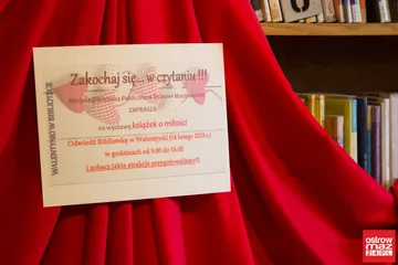 Poprzednie zdjęcie
