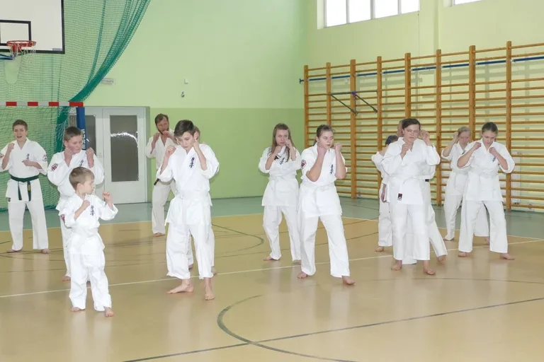Egzaminy w Klubie Karate Kyokushin Ronin (zdjęcia)