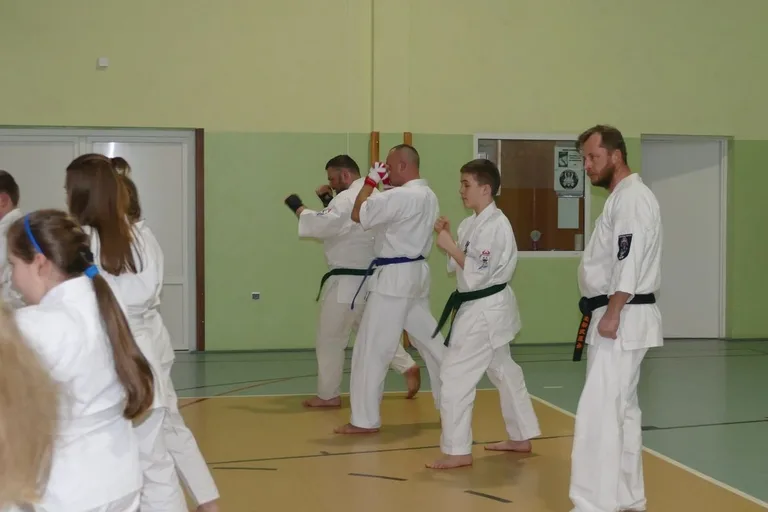 Egzaminy w Klubie Karate Kyokushin Ronin (zdjęcia)