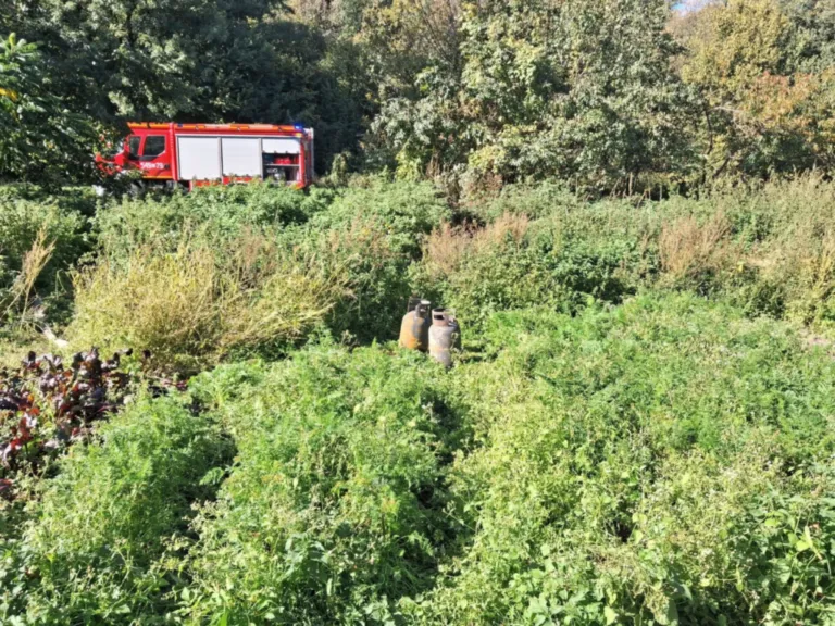 Tragiczny pożar w Uścianku Wielkim. Strażacy znaleźli zwłoki. Fot. OSP Zaręby Kościelne