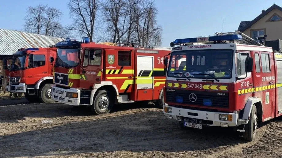Zwierzę wpadło do szamba. Konieczna była interwencja strażaków
