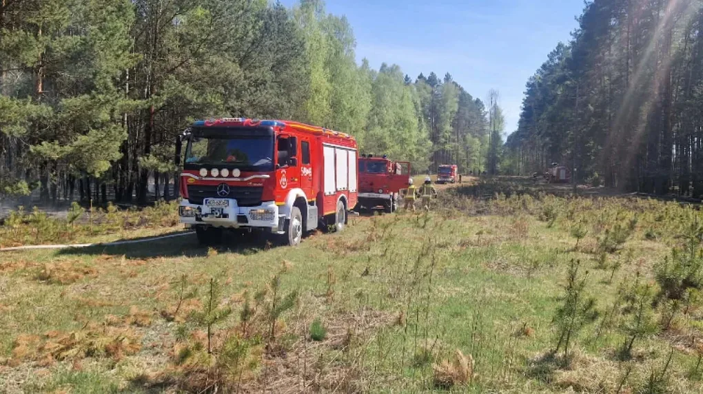 Aż 12 interwencji straży pożarnej. Niebezpieczna majówka w powiecie (zdjęcia)