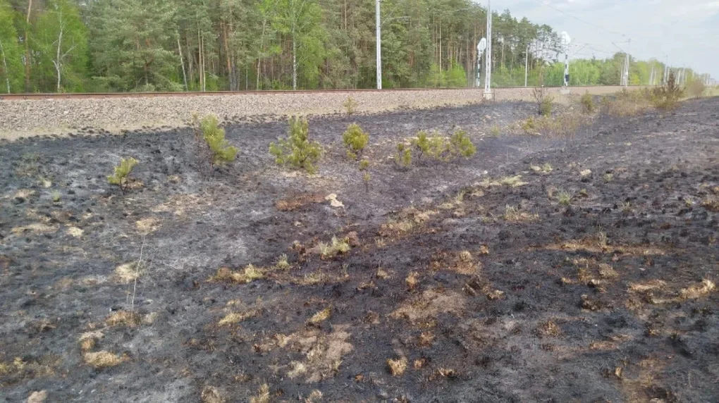 Pożar trawy na nasypie kolejowym między Gąsiorowem a Małkinią. Paliło się w kilku miejscach!