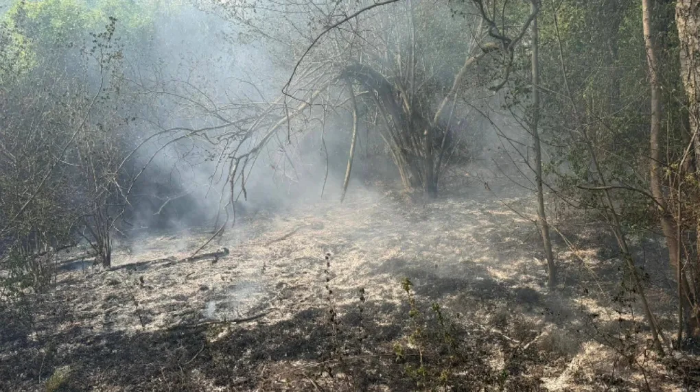 Pożar trawy na nasypie kolejowym między Gąsiorowem a Małkinią. Paliło się w kilku miejscach!