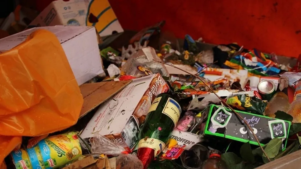 Co roku wyrzucamy żywność o wartości 2 tys. zł