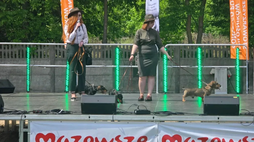 IV Festiwal Kultury Łowieckiej. Zobaczcie, co dzieje się na wydarzeniu (wideo, zdjęcia)