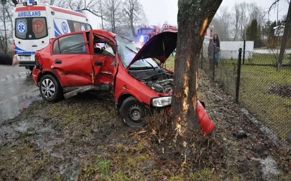Opel uderzył w drzewo (zdjęcia)