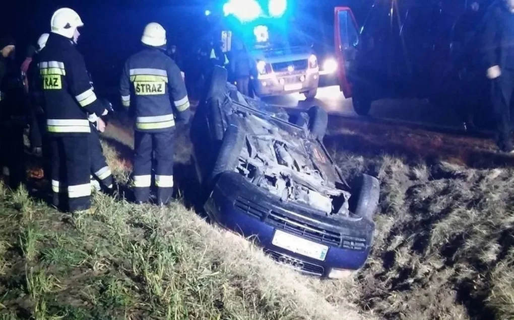 Pies wtargnął na drogę, audi dachowało (zdjęcia)