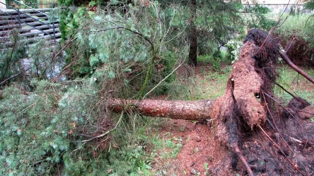 Skutki nawałnic nad powiatem ostrowskim (zdjęcia)