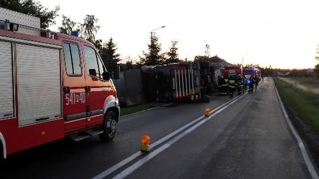 Ciężarówka ze zwierzętami w rowie. Dwie osoby trafiły do szpitala (zdjęcia)