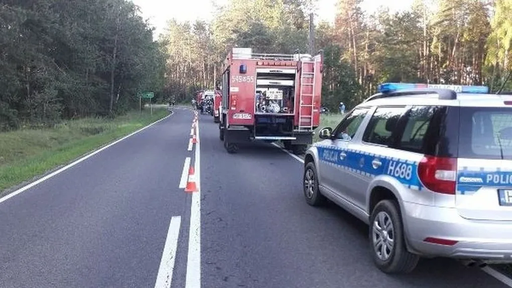Volkswagen uderzył w drzewo (zdjęcia)