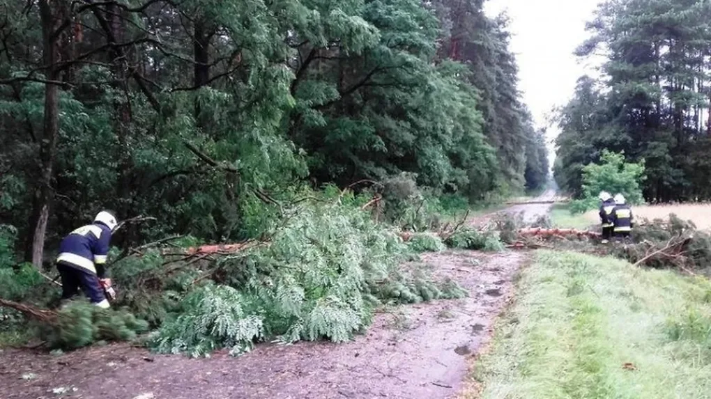 Powalone drzewa i uszkodzony dach skutkiem wichury