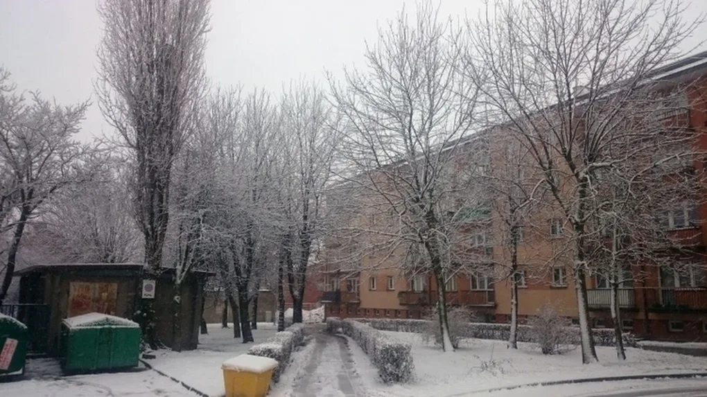 Uwaga. Śnieżyce nad Ostrowią Mazowiecką