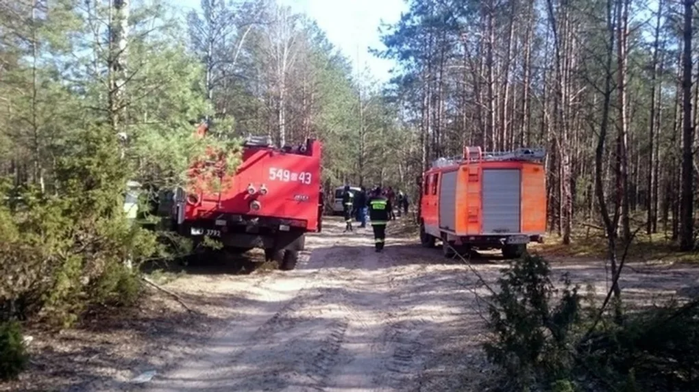 Stary Lubotyń: poszukiwania martwych dzików (zdjęcia)