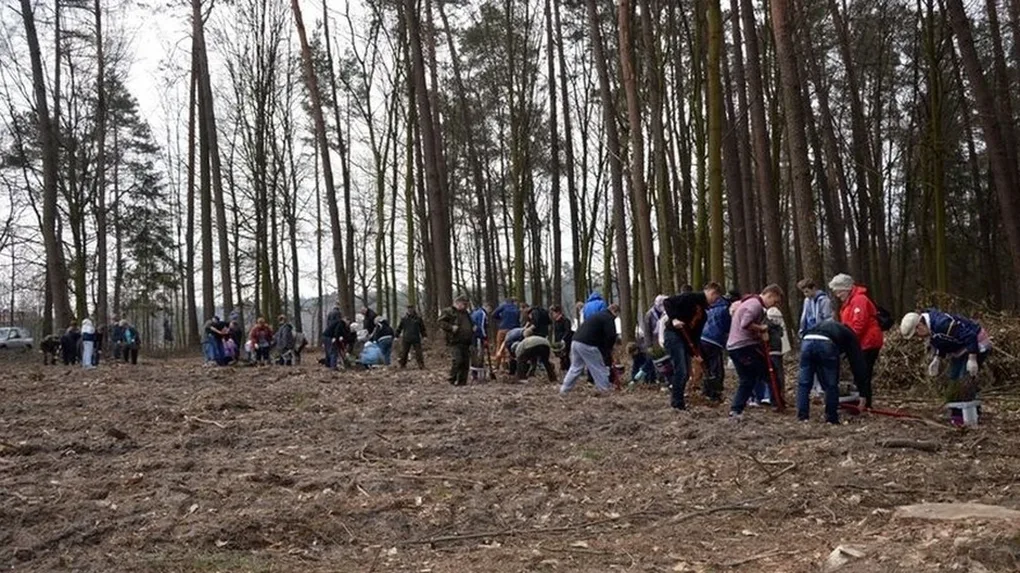 Sadzenie lasu połączyło pokolenia (zdjęcia)