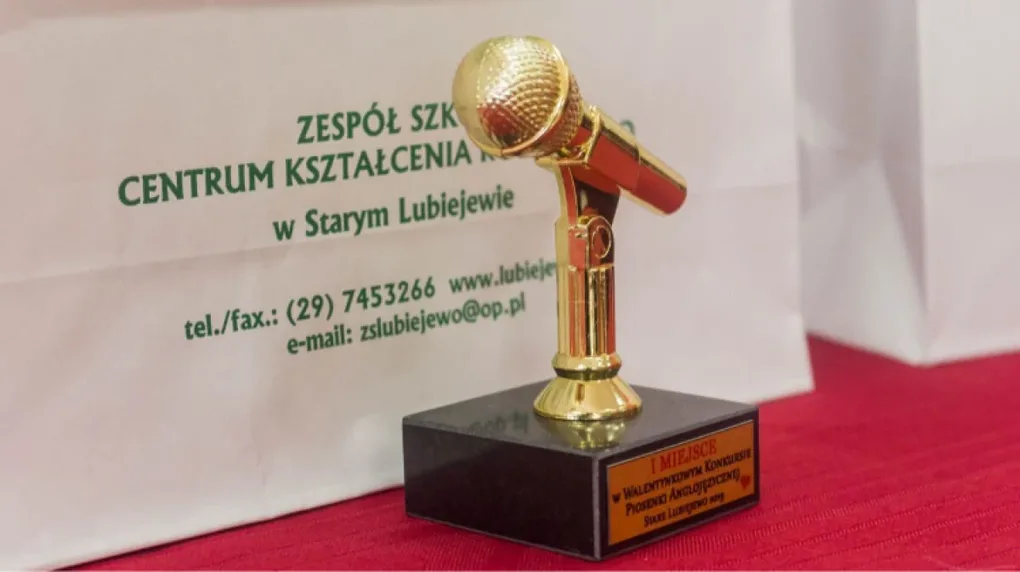 Konkurs piosenki walentynkowej w Starym Lubiejewie (zdjęcia, wideo)